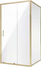 Niagara Душевая дверь в нишу Nova 100 NG-42-10AG – фотография-2